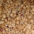 Cooksnap dari nasika untuk resep Kacang Telur Pedas Manis