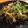 潘俊霖的(簡單料理) 的 塔香螺肉 cooksnap