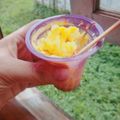 Cooksnap dari Nanis Putri Ku (QiBy.Cooking) untuk resep Mango Ice Cream homemade Simple