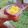 Cooksnap dari Nanis Putri Ku (QiBy.Cooking) untuk resep Mango Ice Cream homemade Simple