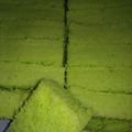 Cooksnap dari Wulan Hendra untuk resep Bolu pandan 3 telur no SP no BP