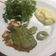 El cooksnap de Andrés Sojo cuando hizo Filete de pescado en crema de espinacas.
