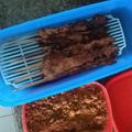 Cooksnap dari Tresnaningtiyas SP untuk resep Sate Ayam Ponorogo