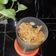 Cooksnap dari Bunda Wieta untuk resep Rempeyek Udang Rebon (Takaran Sendok)