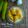 Cooksnap dari Dapur neetasyl untuk resep Kolak Pisang Gula Putih