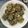 Cooksnap dari Dwipuji Shelomita untuk resep Bakwan Kangkung