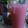 Cooksnap dari febriayu untuk resep Pink Lava