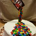 lhc's cooksnap of when they made M&m gravity cake.