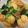 Cooksnap dari Tata Williams untuk resep Brokoli dan Tofu Saus Tiram