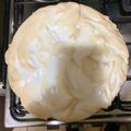 El cooksnap de barbra correa cuando hizo Pie De Limón.