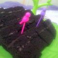Cooksnap dari Evi SNH untuk resep Brownies Ketan Hitam