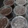 Cooksnap dari YuLiana Huang untuk resep Silky Puding Coklat (SKM)