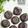 Cooksnap dari nanacuisine_ untuk resep Kue Ku Singkong