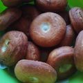 Bianka Szamos GooglePlus1 Cooksnap-ja, amikor elkészítette a(z) Egyszerű szalagos fánk 🍩 receptet.