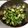 Alex's cooksnap of when they made Jens Holiday Brussels Sprout's.
