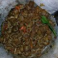 Cooksnap dari Putri Ayu Fatmawati untuk resep Tumis Tempe Cecek Pedas Bumbu Sederhana