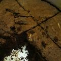 Cooksnap dari Diandra Bebs untuk resep Oat brownies panggang nyoklaaaaat banget