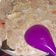 Cooksnap dari Yunita Nyun untuk resep Sayur Lodeh Telur Puyuh