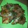 Cooksnap dari Boenda Adity@ untuk resep Terong Penyet Sambel Ijo