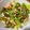 El cooksnap de Débora Cantero Martínez cuando hizo Jalapeños en ensalada.