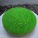 Cooksnap dari Eka Susanti untuk resep Bolu pandan "Magic Com" super lembuutt, ga seret ditenggorokan