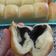 Cooksnap dari Ummu Hasna_Ilmi untuk resep Roti Sobek (Killer Soft Bread)