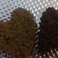 El cooksnap de Sofy Ferrero cuando hizo Galletas fáciles de banana choco y avena.