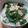 Cooksnap dari Tasia Sakuntala untuk resep Bobor daun labu siam