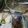Cooksnap dari Rina Dewi Indah Sari untuk resep Soto Padang