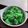 Cooksnap dari Febie Floralies untuk resep Tape Ketan Pandan (ide jualan)