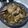 Cooksnap dari bundanyakembar untuk resep Ayam Kukus Jahe 🫚🐓