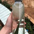 Cooksnap của Thu Thủy Nguyễn khi họ làm theo món Nha đam nấu lá dứa đường phèn thanh mát