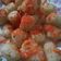 Cooksnap dari lintang untuk resep Cimol yummy