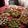 El cooksnap de Gisela Giralt cuando hizo Aperitivos, canapés y entrantes variados para las fiestas.