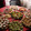 El cooksnap de Gisela Giralt cuando hizo Aperitivos, canapés y entrantes variados para las fiestas.