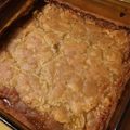 StephieCanCook's cooksnap of when they made Apricot Squares.