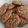 El cooksnap de JUANA ROMERO FERNANDEZ cuando hizo Galletas de avena y chocolate 🍪.