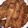 Esther Mukenyi's cooksnap of when they made Fried chicken (KFC STYLE).