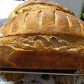 Gabriella Hegedus Cooksnap-ja, amikor elkészítette a(z) Házi kenyér a nővéremtől receptet.
