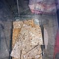 El cooksnap de Lore Gonzalez cuando hizo Cerealitas Fitt.