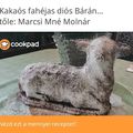 Marcsi Mné Molnár Cooksnap-ja, amikor elkészítette a(z) Húsvéti bárány🐑🥚🎨🖌🐇 receptet.