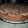 El cooksnap de Maria Lu cuando hizo Tarta de dulce de leche y coco.