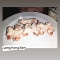 Cooksnap dari Cece untuk resep Leng Hong Kien