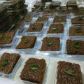 Cooksnap dari Axel Kitchen untuk resep Wajik Ketan Betawi Gula Jawa