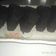 Cooksnap dari Mamih Delvin untuk resep Bolu ketan hitam kukus