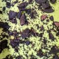 Cooksnap dari Anindya untuk resep Ice cream avocado