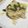 Makiko Tanaka's cooksnap of when they made Risotto con asparagi e mirtilli rossi.