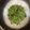 Cooksnap dari meme untuk resep Tumis Sawi Manis