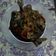 Cooksnap dari Rosalinda Ay Amor untuk resep 2. Bawal saos kecap manis asin