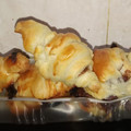 El cooksnap de isa24 cuando hizo Croissants especiales.